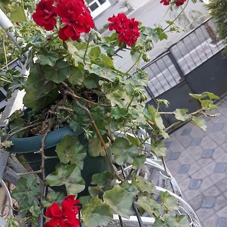 Homestay Izolda Batumi Exterior foto