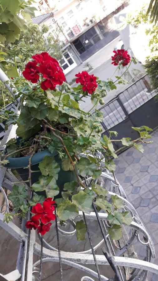 Homestay Izolda Batumi Exterior foto